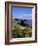 Dunluce-Charles Bowman-Framed Photographic Print