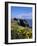 Dunluce-Charles Bowman-Framed Photographic Print