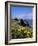 Dunluce-Charles Bowman-Framed Photographic Print