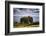 Dunnottar Castle Outside of Stonehaven, Aberdeenshire, Scotland, United Kingdom, Europe-Jim Nix-Framed Photographic Print