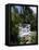 Dunns River Falls, Jamaica, Caribbean, West Indies, Central America-Robert Harding-Framed Premier Image Canvas