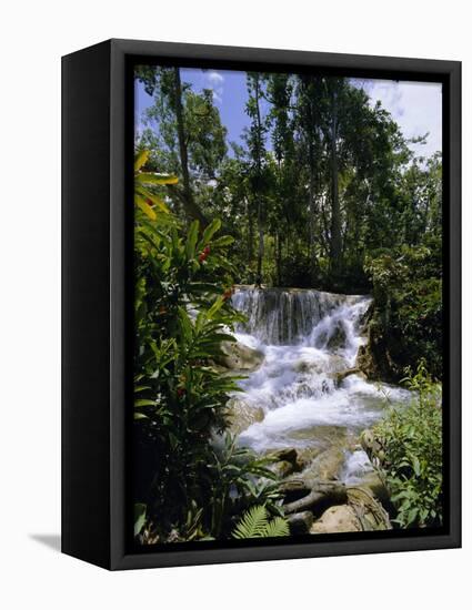 Dunns River Falls, Jamaica, Caribbean, West Indies, Central America-Robert Harding-Framed Premier Image Canvas