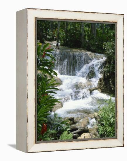 Dunns River Falls, Ocho Rios, Jamaica, West Indies, Caribbean, Central America-Harding Robert-Framed Premier Image Canvas