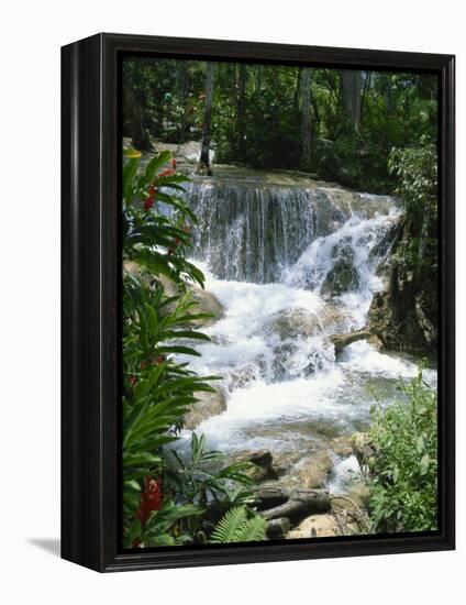 Dunns River Falls, Ocho Rios, Jamaica, West Indies, Caribbean, Central America-Harding Robert-Framed Premier Image Canvas