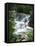 Dunns River Falls, Ocho Rios, Jamaica, West Indies, Caribbean, Central America-Harding Robert-Framed Premier Image Canvas