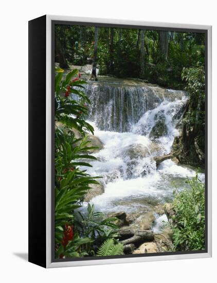 Dunns River Falls, Ocho Rios, Jamaica, West Indies, Caribbean, Central America-Harding Robert-Framed Premier Image Canvas