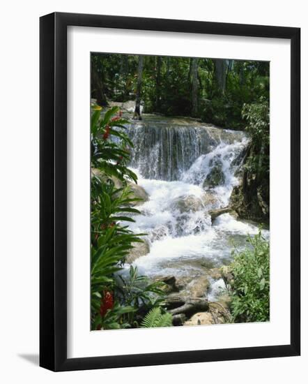 Dunns River Falls, Ocho Rios, Jamaica, West Indies, Caribbean, Central America-Harding Robert-Framed Photographic Print