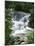 Dunns River Falls, Ocho Rios, Jamaica, West Indies, Caribbean, Central America-Harding Robert-Mounted Photographic Print