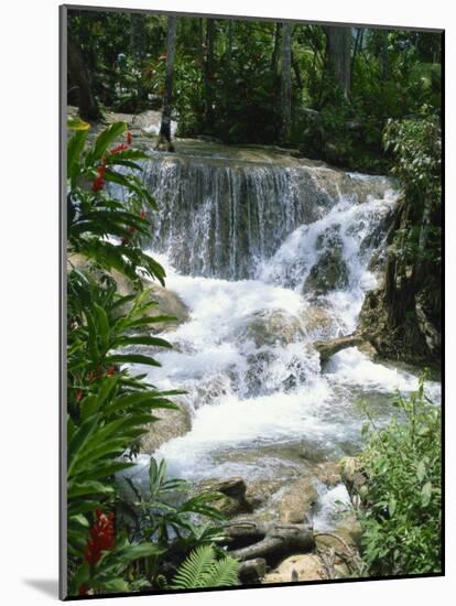 Dunns River Falls, Ocho Rios, Jamaica, West Indies, Caribbean, Central America-Harding Robert-Mounted Photographic Print