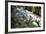 Dunns River Falls, Ocho Rios, Jamaica, West Indies, Caribbean, Central America-Doug Pearson-Framed Photographic Print