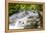 Dunns River Falls, Ocho Rios, Jamaica, West Indies, Caribbean, Central America-Doug Pearson-Framed Premier Image Canvas