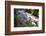 Dunns River Falls, Ocho Rios, Jamaica, West Indies, Caribbean, Central America-Doug Pearson-Framed Photographic Print