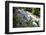 Dunns River Falls, Ocho Rios, Jamaica, West Indies, Caribbean, Central America-Doug Pearson-Framed Photographic Print