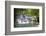 Dunns River Falls, Ocho Rios, Jamaica, West Indies, Caribbean, Central America-Doug Pearson-Framed Premium Photographic Print