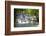 Dunns River Falls, Ocho Rios, Jamaica, West Indies, Caribbean, Central America-Doug Pearson-Framed Premium Photographic Print