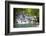 Dunns River Falls, Ocho Rios, Jamaica, West Indies, Caribbean, Central America-Doug Pearson-Framed Premium Photographic Print