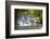 Dunns River Falls, Ocho Rios, Jamaica, West Indies, Caribbean, Central America-Doug Pearson-Framed Photographic Print