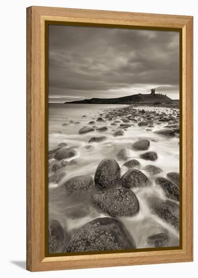 Dunstanburgh Castle at Dawn from Embleton Bay, Northumberland, England. Spring (April)-Adam Burton-Framed Premier Image Canvas