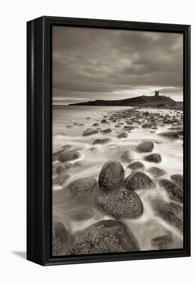 Dunstanburgh Castle at Dawn from Embleton Bay, Northumberland, England. Spring (April)-Adam Burton-Framed Premier Image Canvas