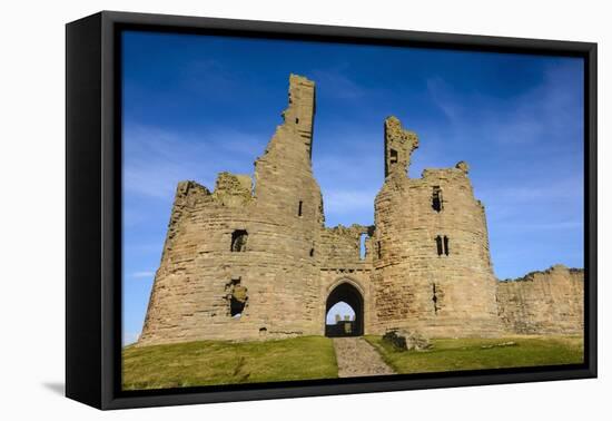 Dunstanburgh Castle, Northumberland, England, United Kingdom, Europe-Gary Cook-Framed Premier Image Canvas