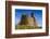 Dunstanburgh Castle, Northumberland, England, United Kingdom, Europe-Gary Cook-Framed Photographic Print