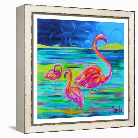 Duo Flamingos-Anne Ormsby-Framed Stretched Canvas