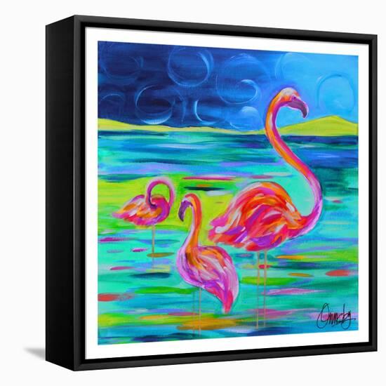 Duo Flamingos-Anne Ormsby-Framed Stretched Canvas