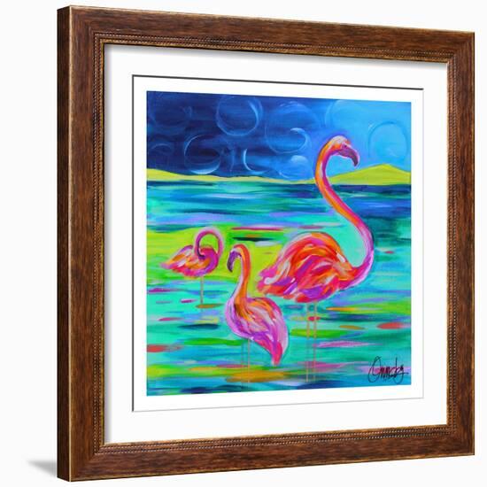 Duo Flamingos-Anne Ormsby-Framed Art Print