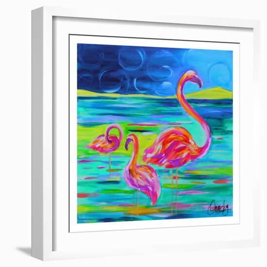 Duo Flamingos-Anne Ormsby-Framed Art Print