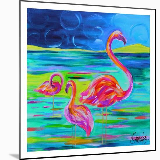 Duo Flamingos-Anne Ormsby-Mounted Art Print