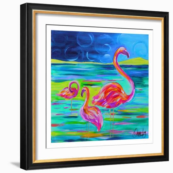 Duo Flamingos-Anne Ormsby-Framed Art Print