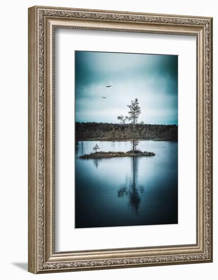 Duo Flight-Philippe Sainte-Laudy-Framed Photographic Print