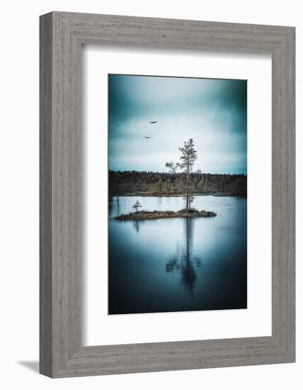 Duo Flight-Philippe Sainte-Laudy-Framed Photographic Print