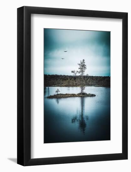 Duo Flight-Philippe Sainte-Laudy-Framed Photographic Print