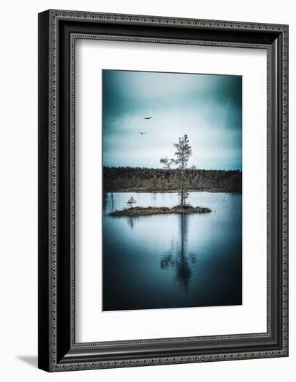 Duo Flight-Philippe Sainte-Laudy-Framed Photographic Print