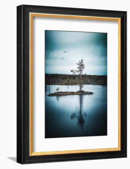 Duo Flight-Philippe Sainte-Laudy-Framed Photographic Print