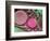 Duo Flow-Heidi Westum-Framed Photographic Print