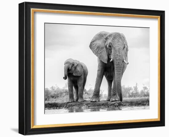 DUO-Jaco Marx-Framed Photographic Print