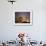 Duomo and Campanile of Santa Maria del Fiore Seen from the West-Jim Zuckerman-Framed Photographic Print displayed on a wall