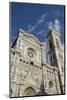 Duomo (Cathedral) and Campanile Di Giotto-Robert Harding-Mounted Photographic Print