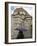 Duomo (Cathedral), Florence (Firenze), UNESCO World Heritage Site, Tuscany, Italy, Europe-Nico Tondini-Framed Photographic Print