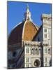 Duomo (Cathedral), Florence (Firenze), UNESCO World Heritage Site, Tuscany, Italy, Europe-Nico Tondini-Mounted Photographic Print