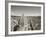 Duomo, Florence, Tuscany, Italy-Doug Pearson-Framed Photographic Print