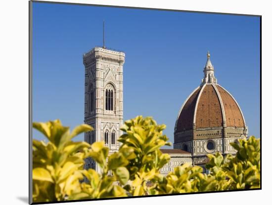 Duomo , Florence, UNESCO World Heritage Site, Tuscany, Italy, Europe-Tondini Nico-Mounted Photographic Print