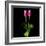 Duotone Tulips-Magda Indigo-Framed Photographic Print