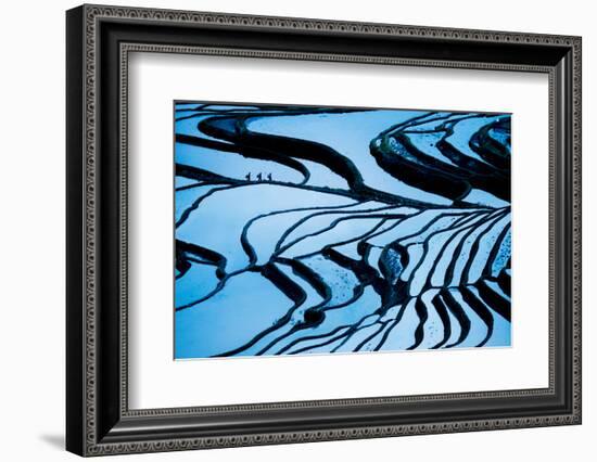 Duoyishu Rice Terraces at dawn, Yuanyang, Yunnan Province, China, Asia-Ben Pipe-Framed Photographic Print