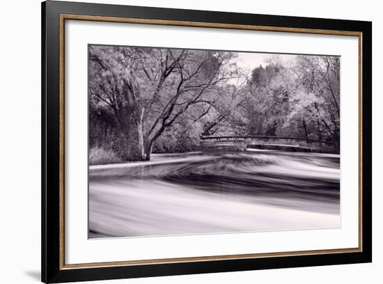 DuPage River Forest BW-Steve Gadomski-Framed Photographic Print