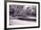 DuPage River Forest BW-Steve Gadomski-Framed Photographic Print