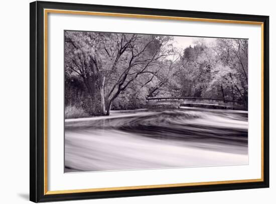 DuPage River Forest BW-Steve Gadomski-Framed Photographic Print