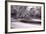 DuPage River Forest BW-Steve Gadomski-Framed Photographic Print